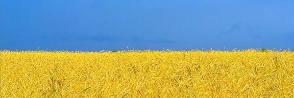 raunkilde's profile banner image
