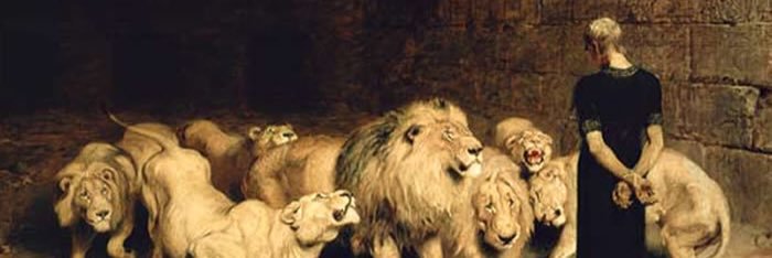 JerrBeaarr's profile banner image