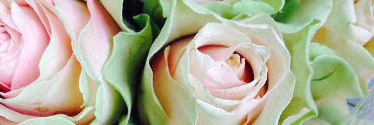 See31Thirty's profile banner image