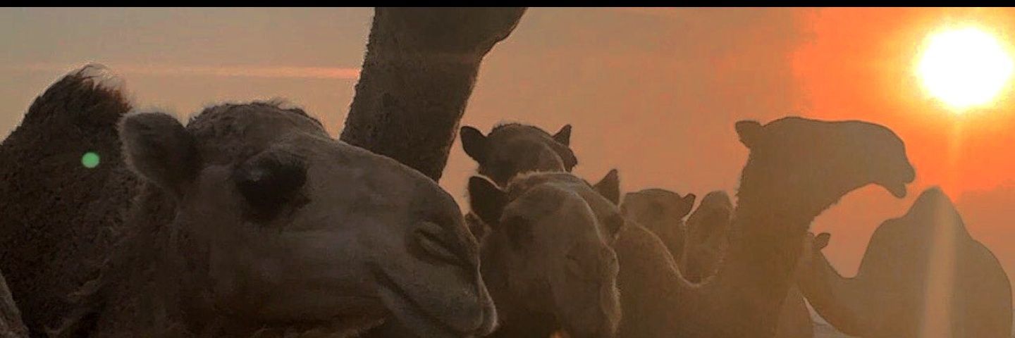97jaklin's profile banner image