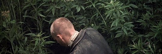 m0eppai's profile banner image