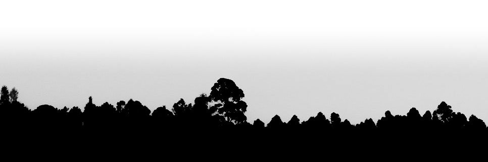 LFBrandStrategy's profile banner image