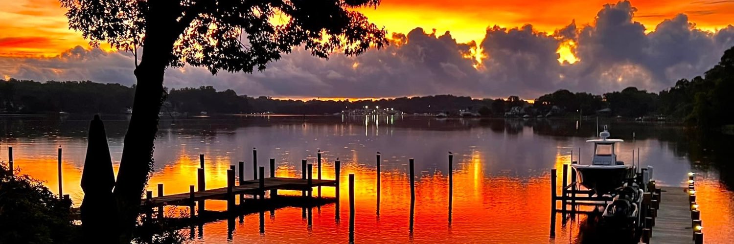 💙 Nancy N 😷#Resist banner