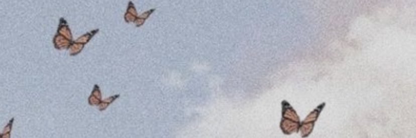 caityyanosko's profile banner image