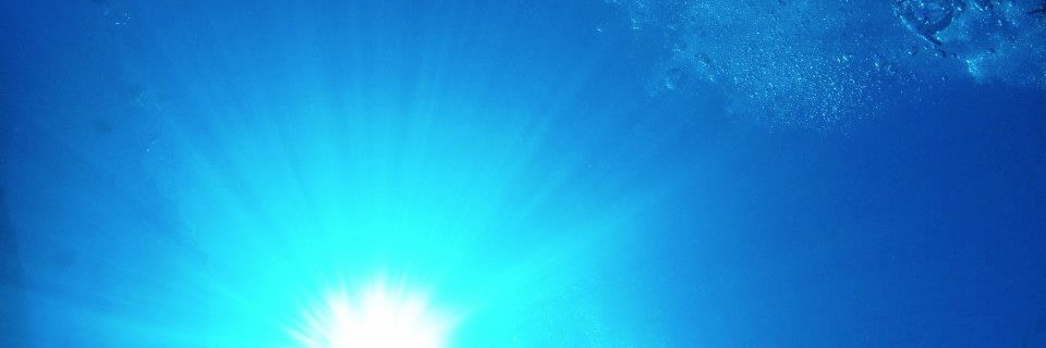 Shark Share Global banner