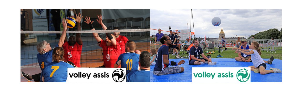 FF Volley Assis banner