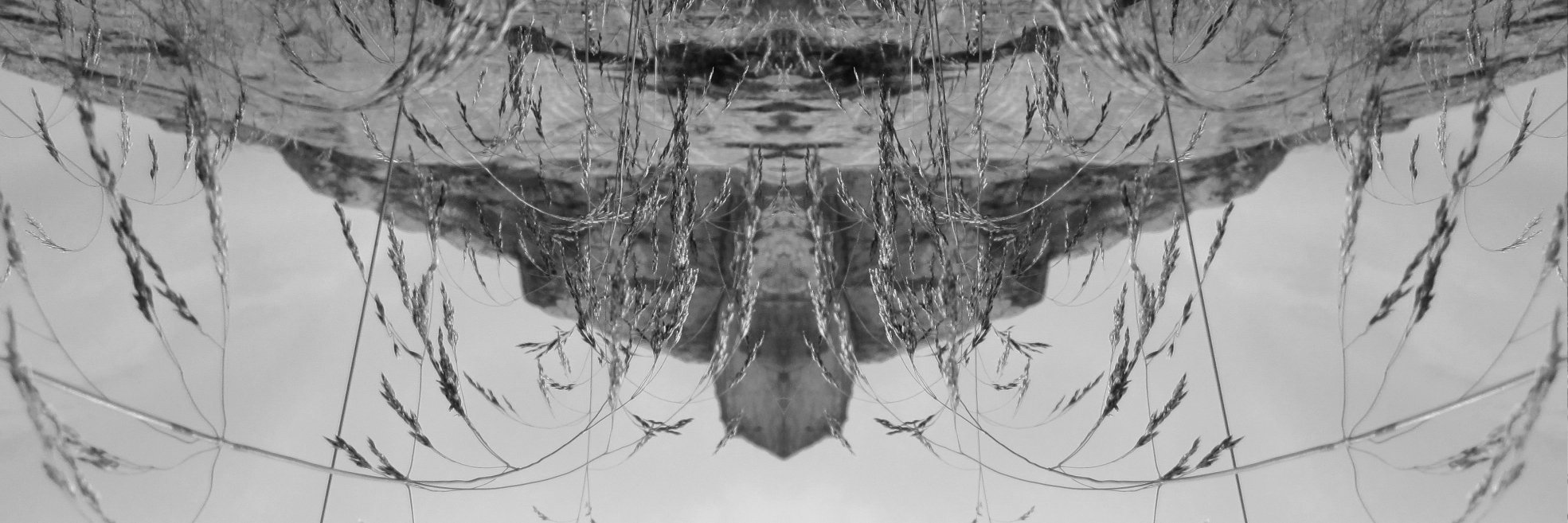 Gian Marco Franceschini banner