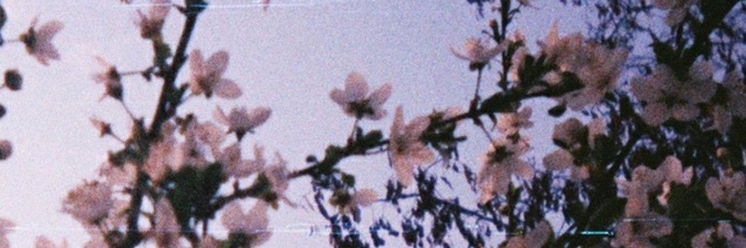 impericia_'s profile banner image