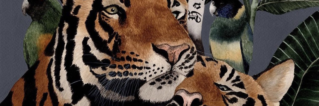 JunlyKab's profile banner image