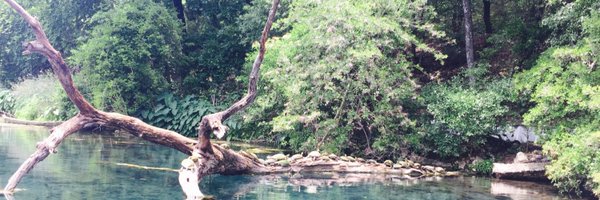 RLBrody Profile Banner