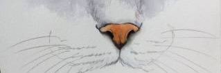 HeapJunk's profile banner image