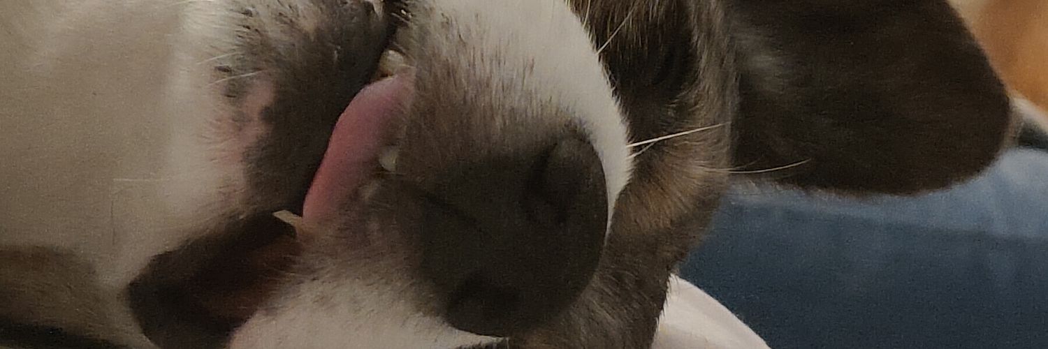 lirdrin's profile banner image