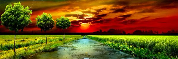 gauravbhojwani2 Profile Banner