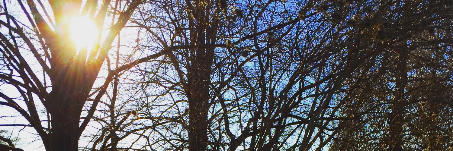 derekjbaca's profile banner image