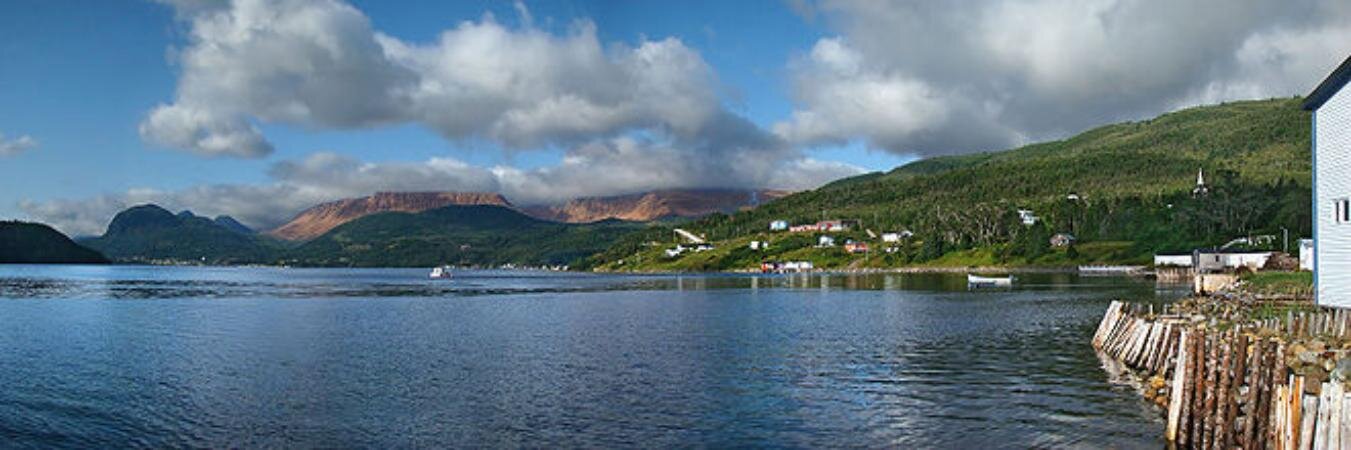 WoodyPointNFLD's profile banner image