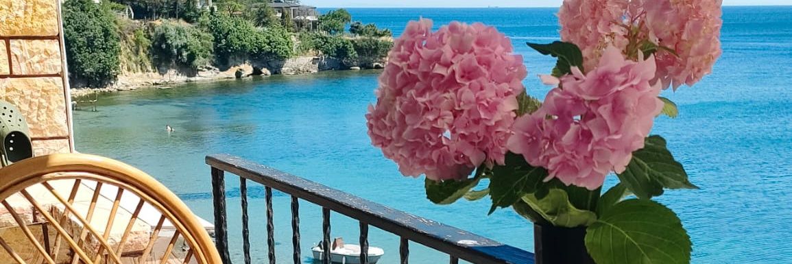 TalipT:Borsanın yazıda güzel kışıda)EKONOMİKSER. banner
