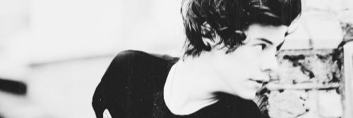 fancynxarry's profile banner image