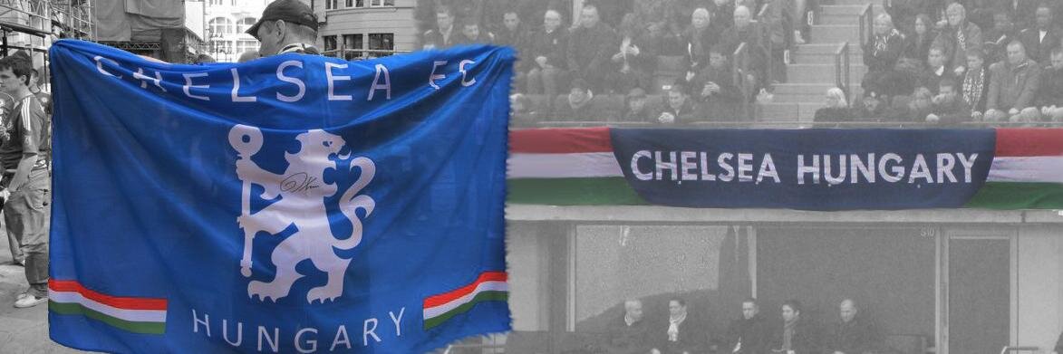 chelseafchu's profile banner image
