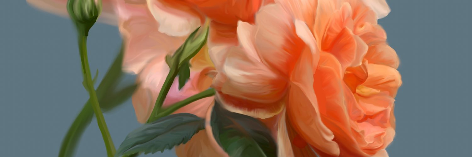 saniyahusain's profile banner image