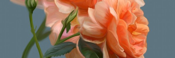 saniyahusain Profile Banner