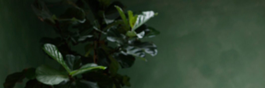 Mark_vdLeur's profile banner image
