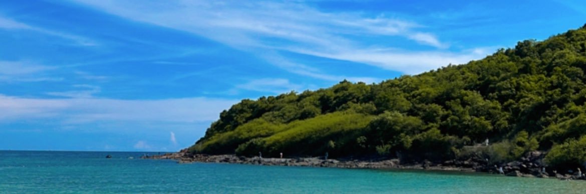 Ppchy_Y's profile banner image