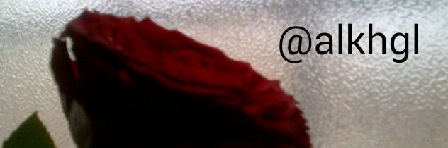 alkhgl's profile banner image