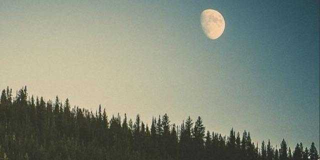 danielamagos's profile banner image