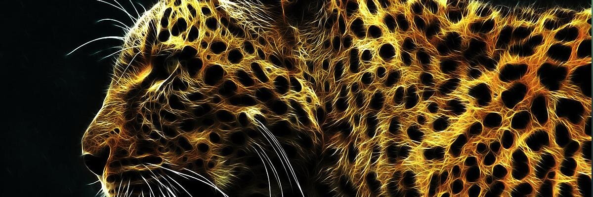 nyzeez's profile banner image