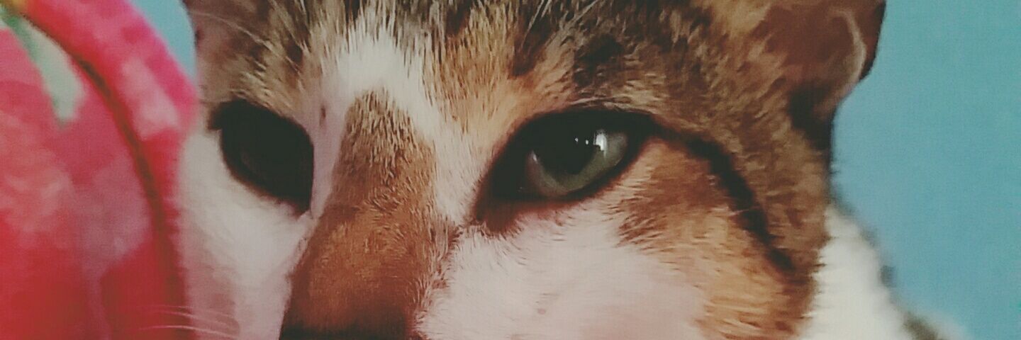 azeeza_lucky's profile banner image