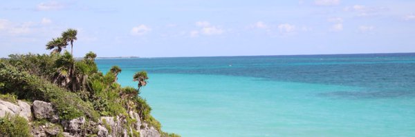 viktoriawithk Profile Banner