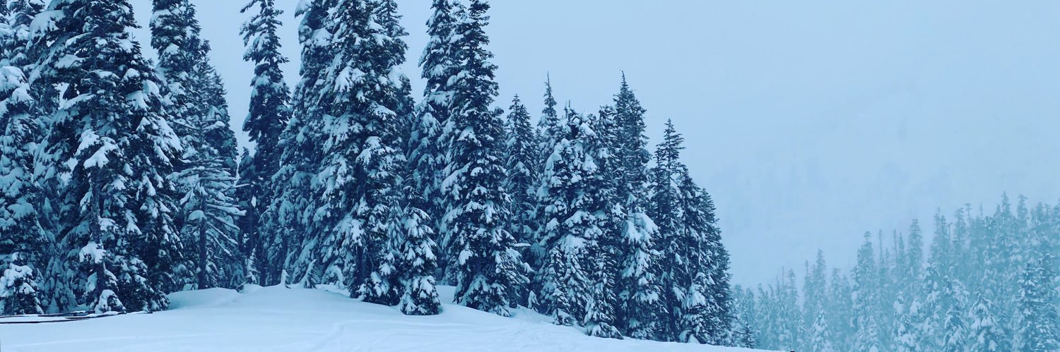 Cavaxos's profile banner image