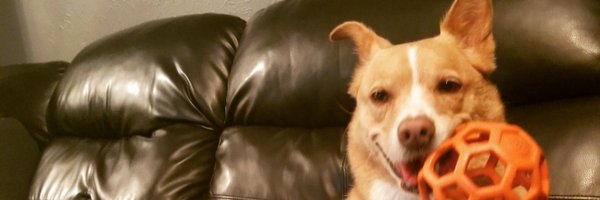 sumpeoplelikeit Profile Banner