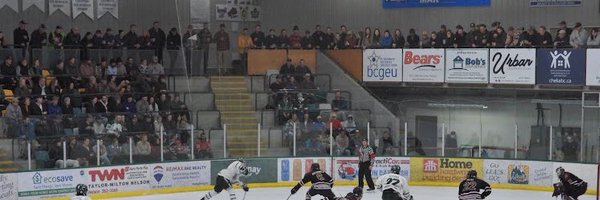 Nelsonleafs Profile Banner