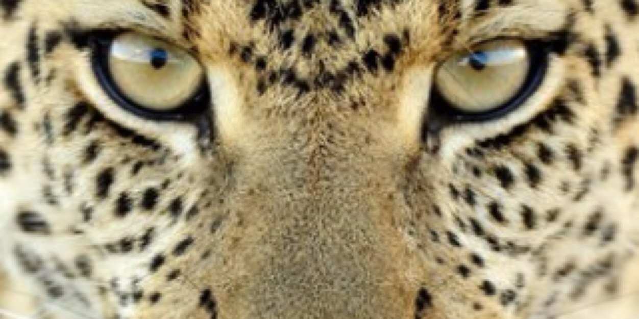 AlanContrerasC's profile banner image