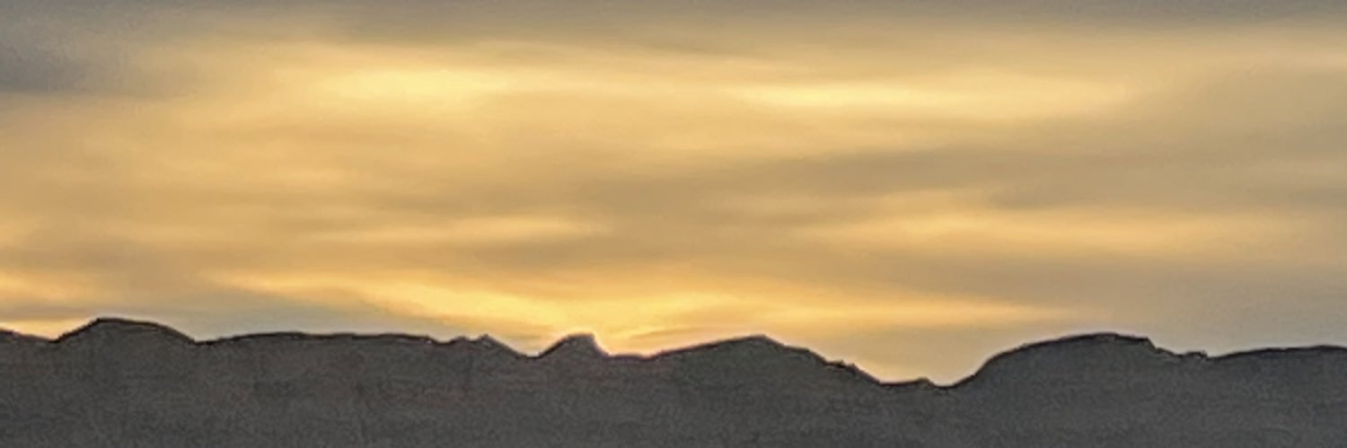 p85rice's profile banner image