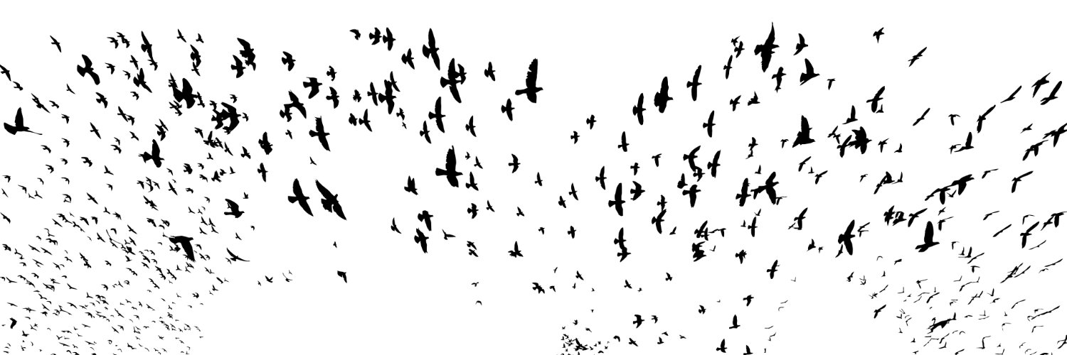 HitLitPro's profile banner image