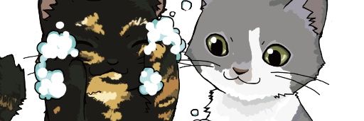 ranifuuyuki's profile banner image