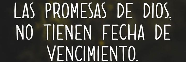 fernuz12's profile banner image
