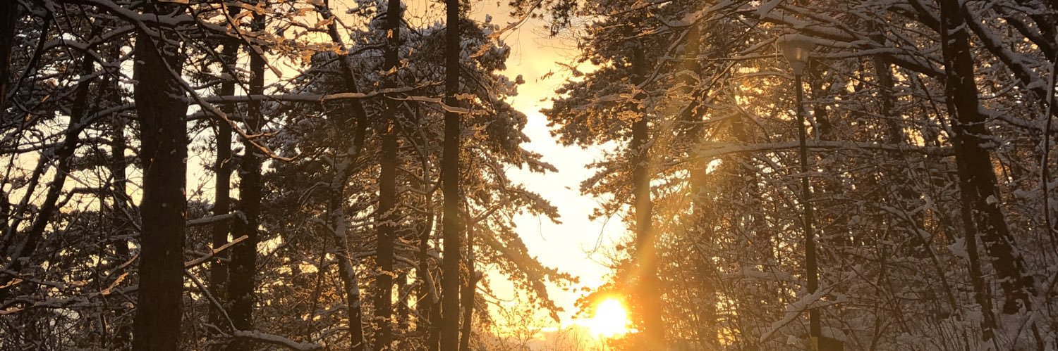 katiite1's profile banner image