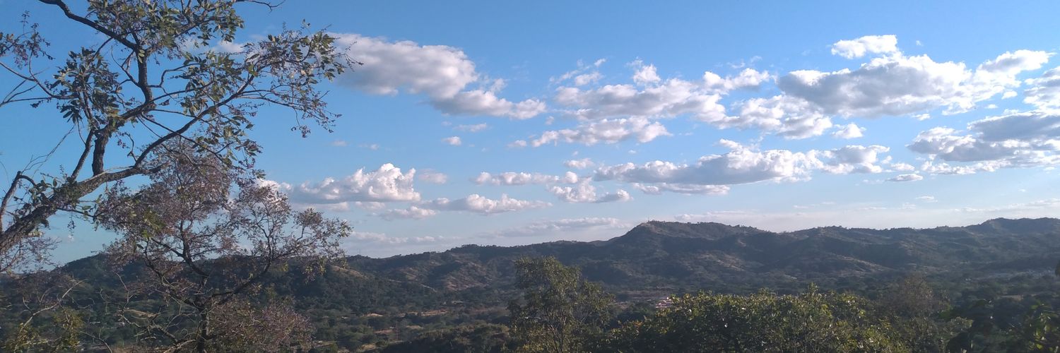 LM1411's profile banner image