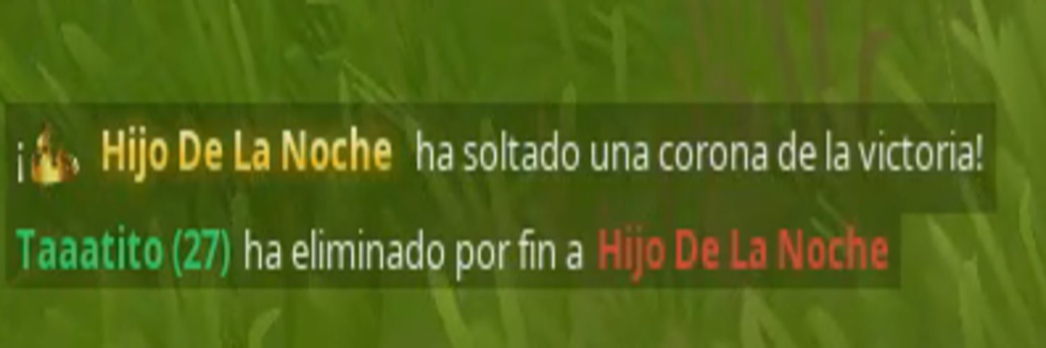 TT (hincha de duki) banner
