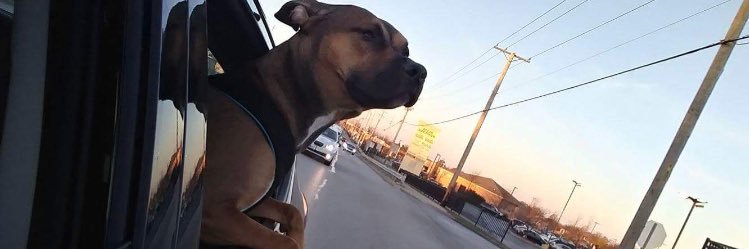 samhuffypuffy's profile banner image