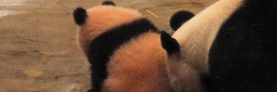 sora_tam's profile banner image