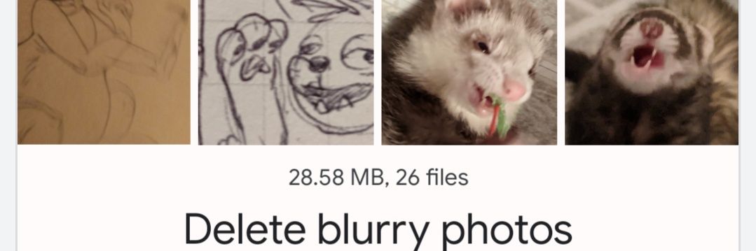 mijfly's profile banner image