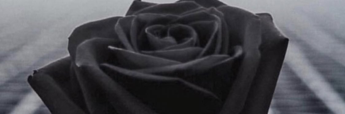 MiiiStEr_B's profile banner image