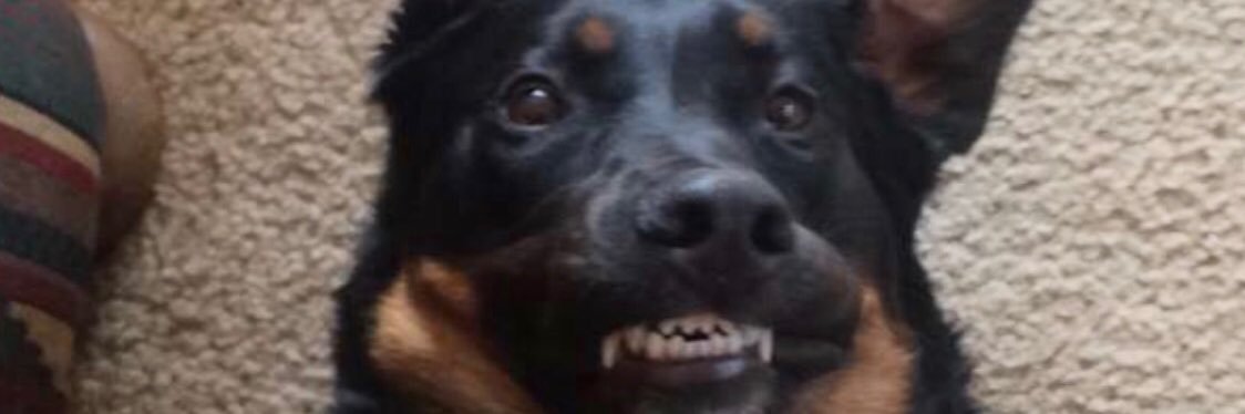 Missylvh's profile banner image