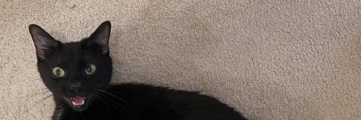 gigirossbach's profile banner image