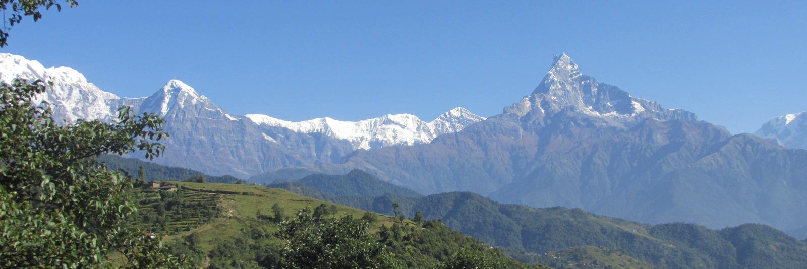 रमेश वाग्ले's banner