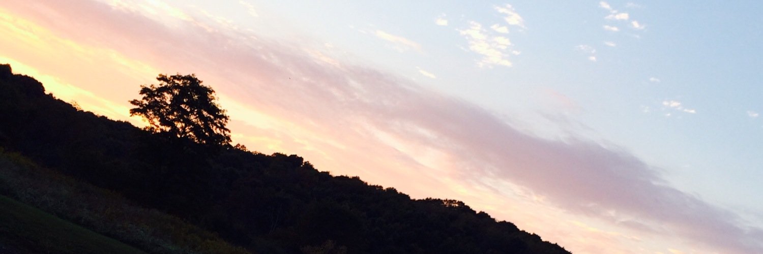 steph_diruscia's profile banner image